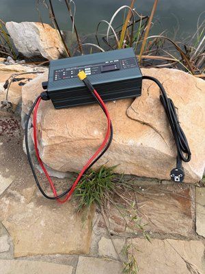 Зарядний пристрій LiFePO₄ 4S 40A, 12V &mdash; вживаний CHARGER-LFP-4S-40A-USED фото