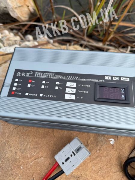 Зарядний пристрій 24V 40A (6S) для Li-Ion акумуляторів 24v-40a-6s фото